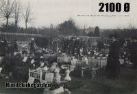 2019-3 Hundekirkegården